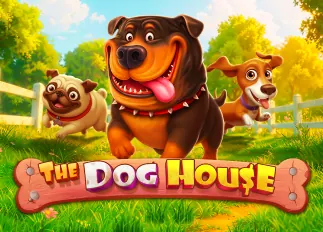 The Dog House tiger24
